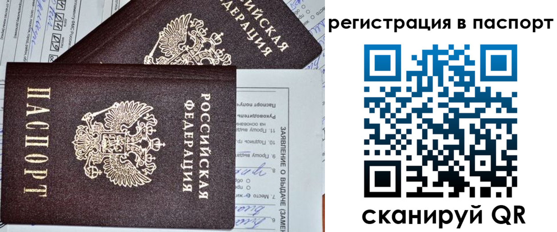 прописка законно в Амурске